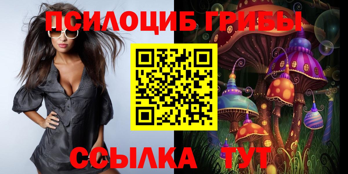 Псилоцибиновые грибы MAGIC MUSHROOMS  Вход с VPN  Урюпинск 